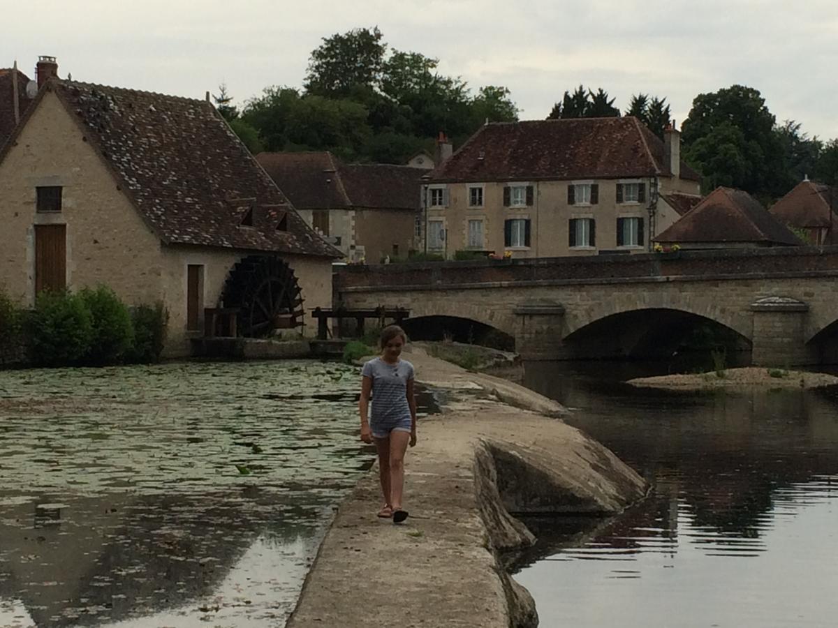 Le Logis Alexandra Bnb La Trimouille Eksteriør billede